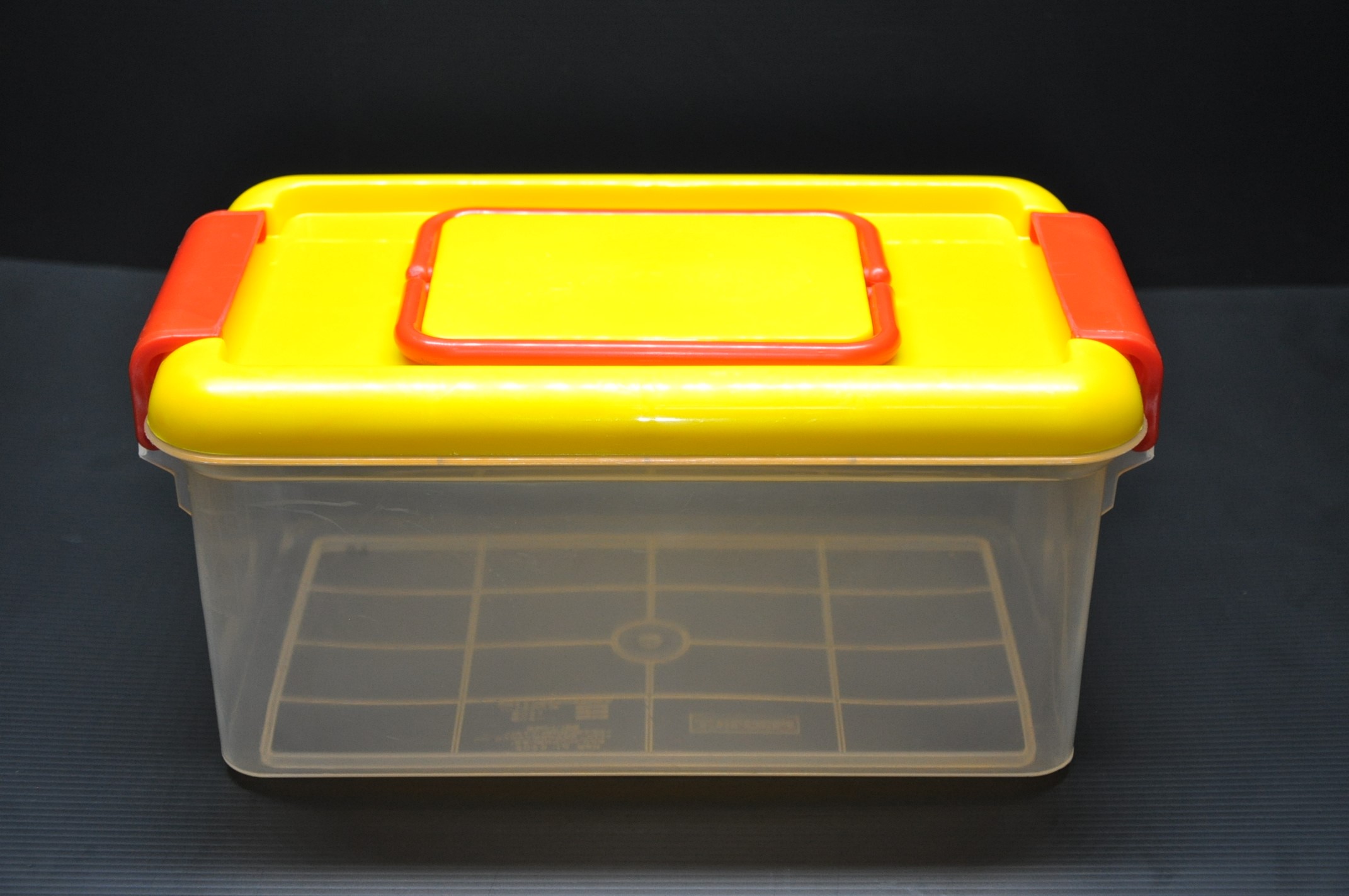Tupperware with Clip Lock and Handle